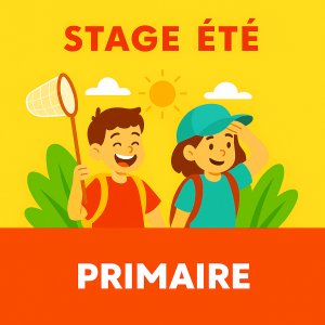 Stage Vacances Été - Primaire
